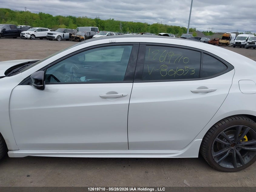 2019 Acura Tlx Technology/A-Spec VIN: 19UUB3F64KA801053 Lot: 12619710