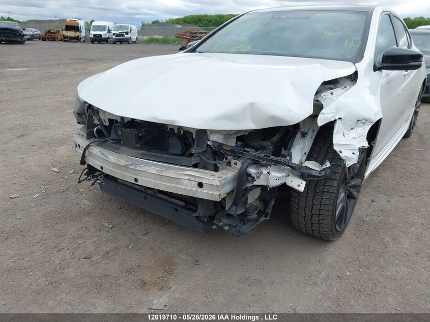 2019 Acura Tlx Technology/A-Spec VIN: 19UUB3F64KA801053 Lot: 12619710