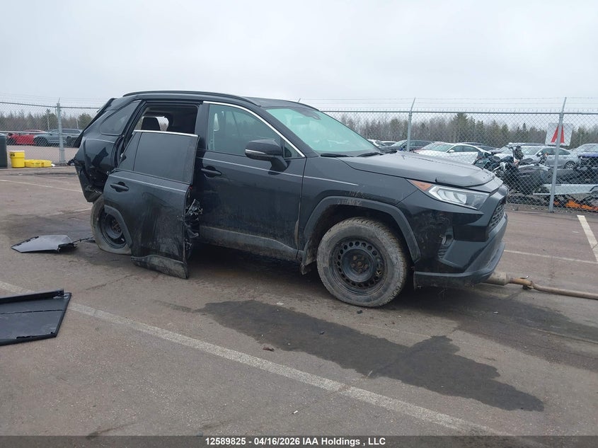 2019 TOYOTA RAV4 XLE