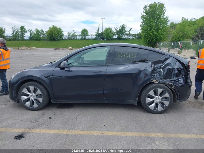 2024 Tesla Model Y VIN: 7SAYGDEE7RF019186 Lot: 12620125