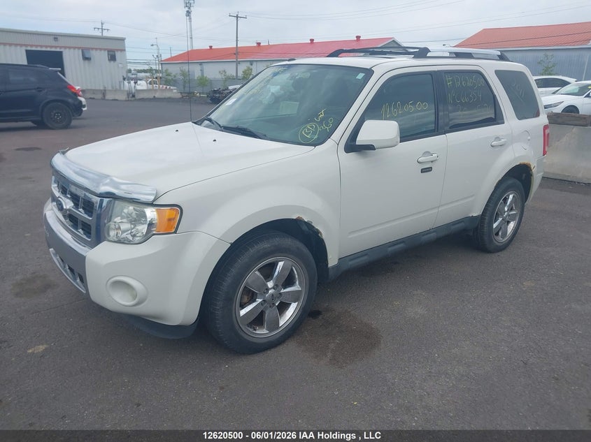 Vin: 1fmcu9eg5bkc66354, lot: 3019752, ford escape limited 20112