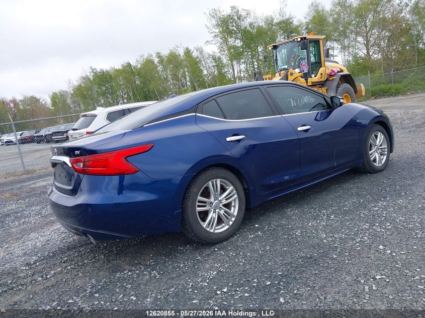 Vin: 1n4aa6ap0gc446163, lot: 3020140, nissan maxima platinum/sl/sr/sv 20164