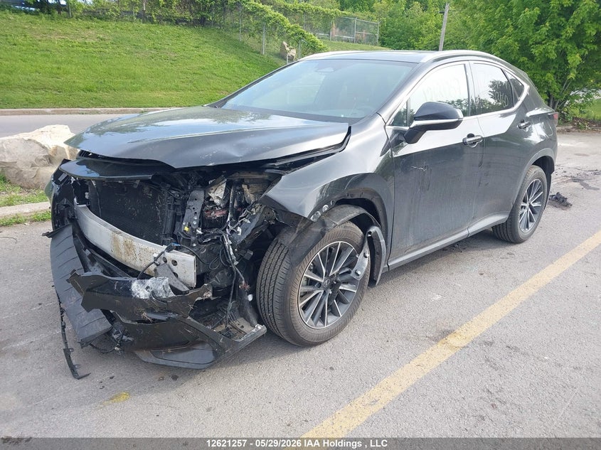 2026 Lexus NX, Front, IAAI, VIN 2T2GGCEZ3TC113160 — photo 2
