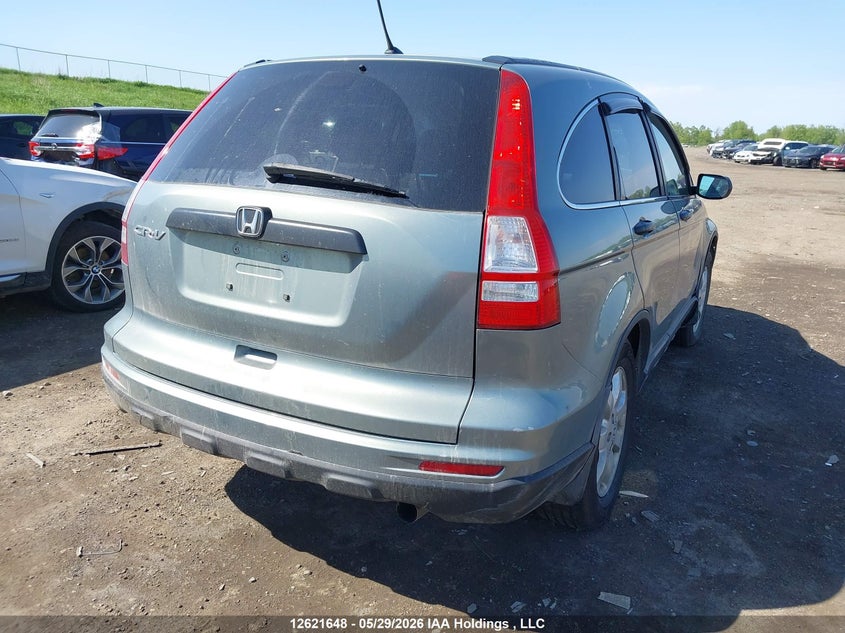 Vin: 5j6re3h31al803175, lot: 3020987, honda cr-v lx 20104