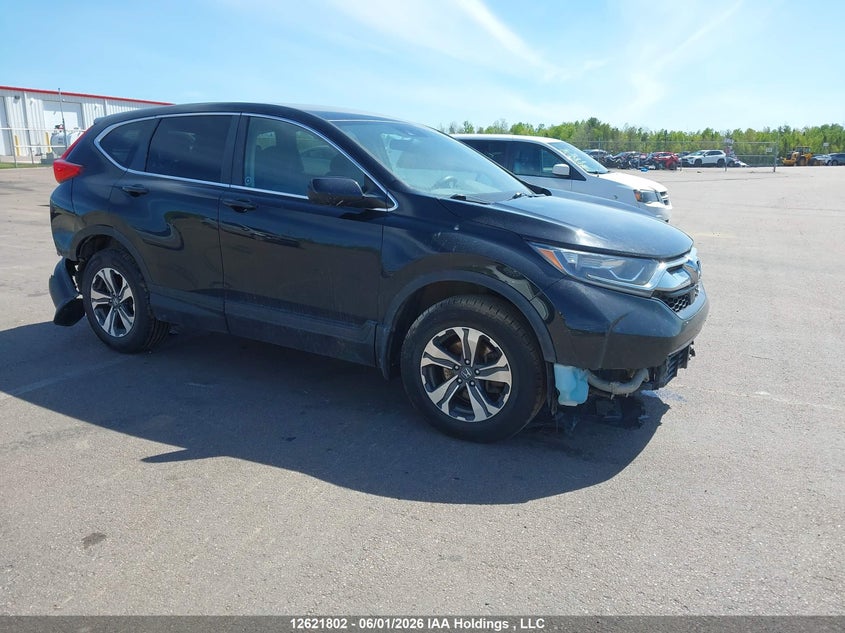 2019 Honda Cr-V Lx VIN: 2HKRW2H22KH101294 Lot: 12621802
