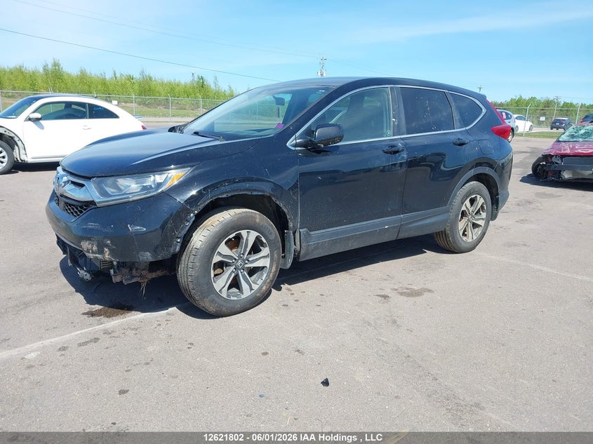 2019 Honda Cr-V Lx VIN: 2HKRW2H22KH101294 Lot: 12621802