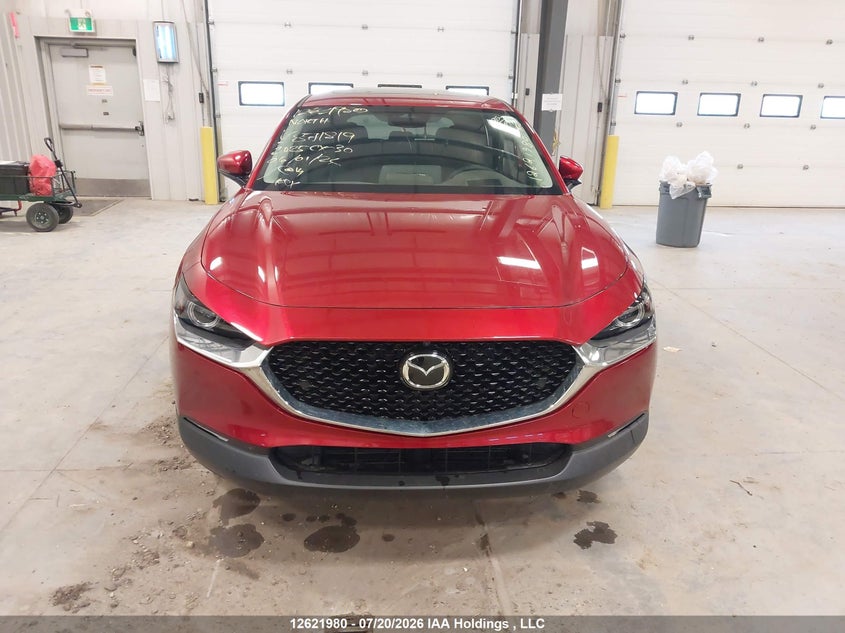 2025 Mazda Cx-30 Premium VIN: 3MVDMBDM4SM871819 Lot: 12621980