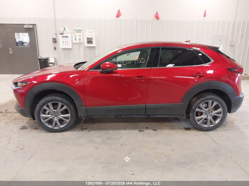 2025 Mazda Cx-30 Premium VIN: 3MVDMBDM4SM871819 Lot: 12621980