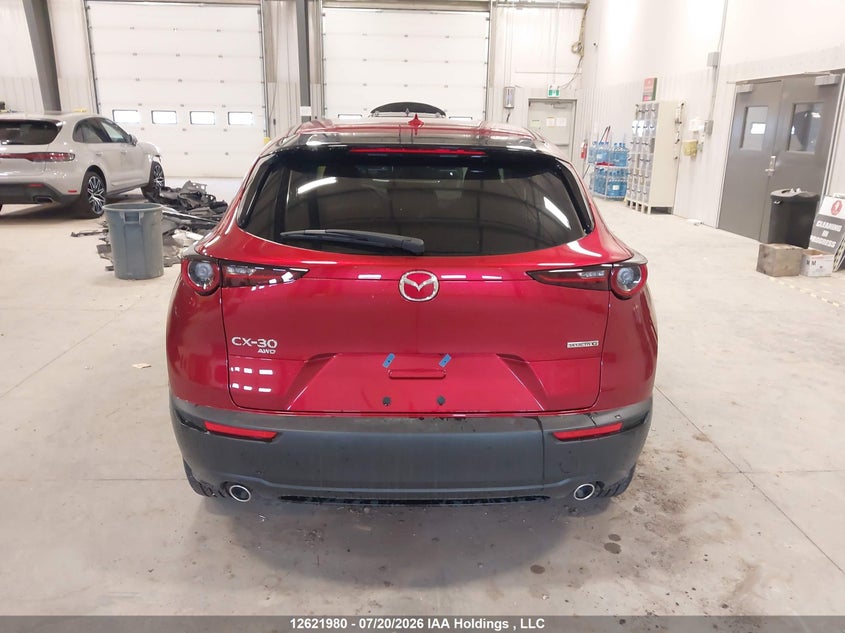 2025 Mazda Cx-30 Premium VIN: 3MVDMBDM4SM871819 Lot: 12621980