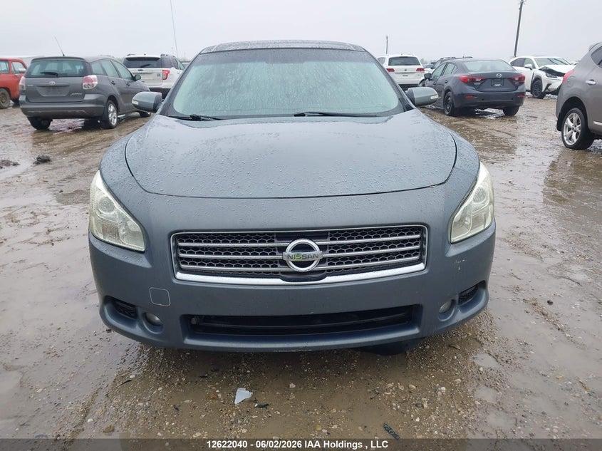 2010 Nissan Maxima S/Sv VIN: 1N4AA5APXAC834423 Lot: 12622040