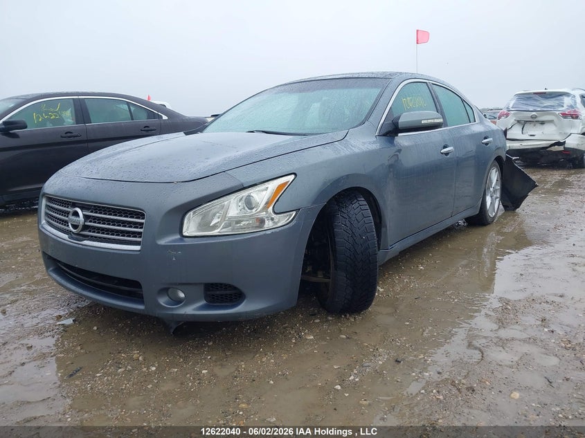 2010 Nissan Maxima, Rear, IAAI, VIN 1N4AA5APXAC834423 — photo 2