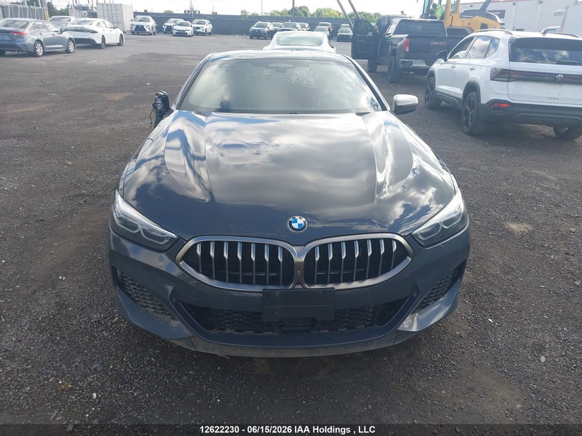 2020 BMW M850I xDrive VIN: WBABC4C03LBU96971 Lot: 12622230