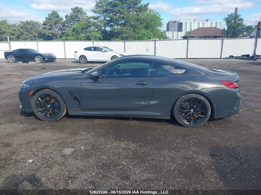 2020 BMW M850I xDrive VIN: WBABC4C03LBU96971 Lot: 12622230