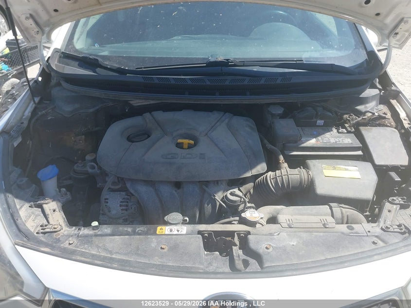 2016 Kia Forte 2.0L Ex/2.0L Lx+ VIN: KNAFK5A87G5625964 Lot: 12623529