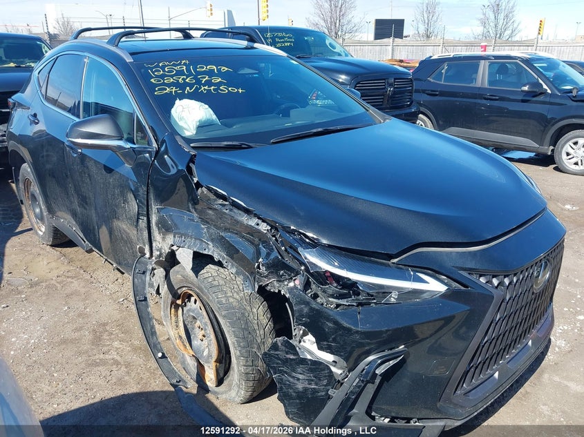 2024 Lexus Nx 450H+ VIN: JTJHKCFZ7R2028672 Lot: 12591292X
