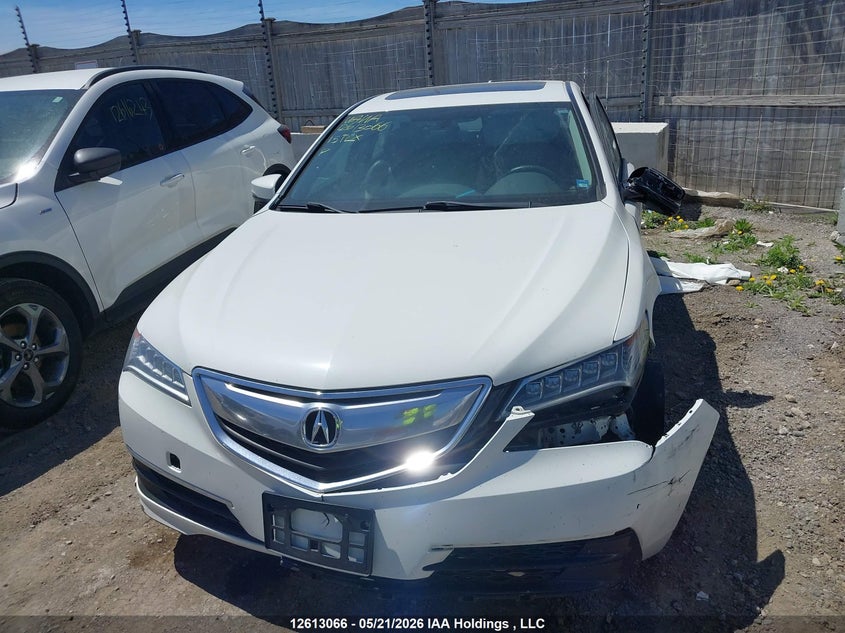 2015 Acura Tlx VIN: 19UUB1F38FA800388 Lot: 12613066X