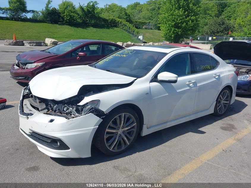 Vin: 19uub3f70ga800286, lot: 3023680, acura tlx advance 20162