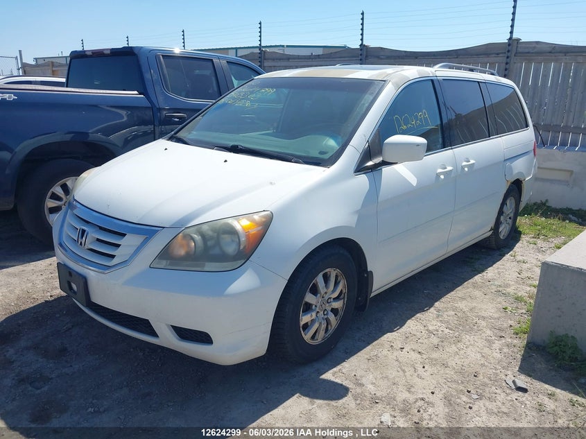2008 Honda Odyssey, Right Side, IAAI, VIN 5FNRL38638B503303 — photo 2
