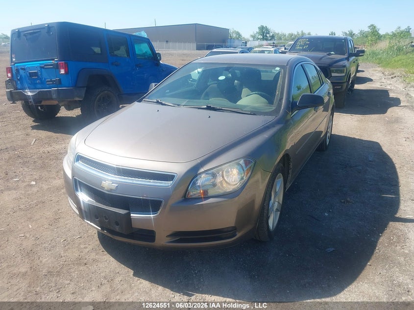 Vin: 1g1zb5e05af241390, lot: 3024155, chevrolet malibu ls 20102