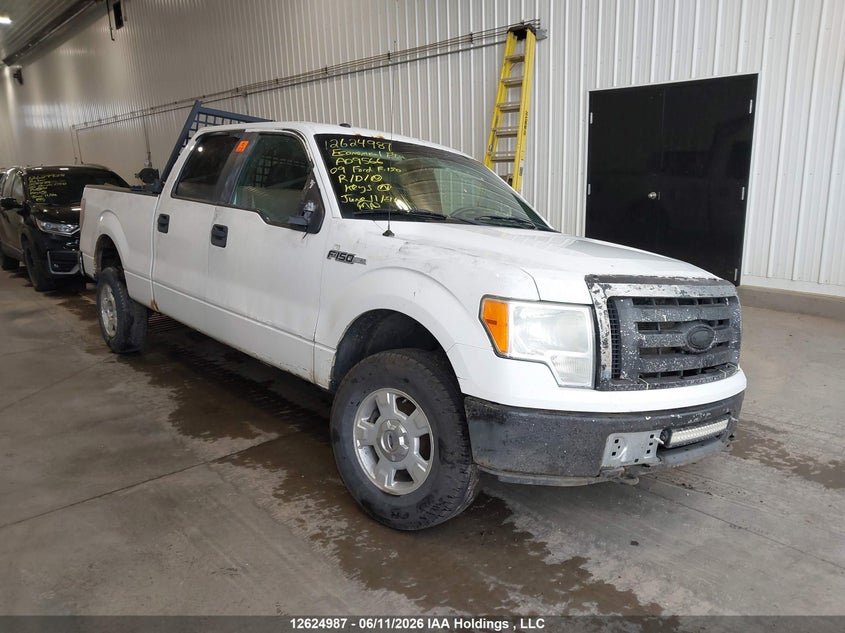 2009 FORD F-150 XLT