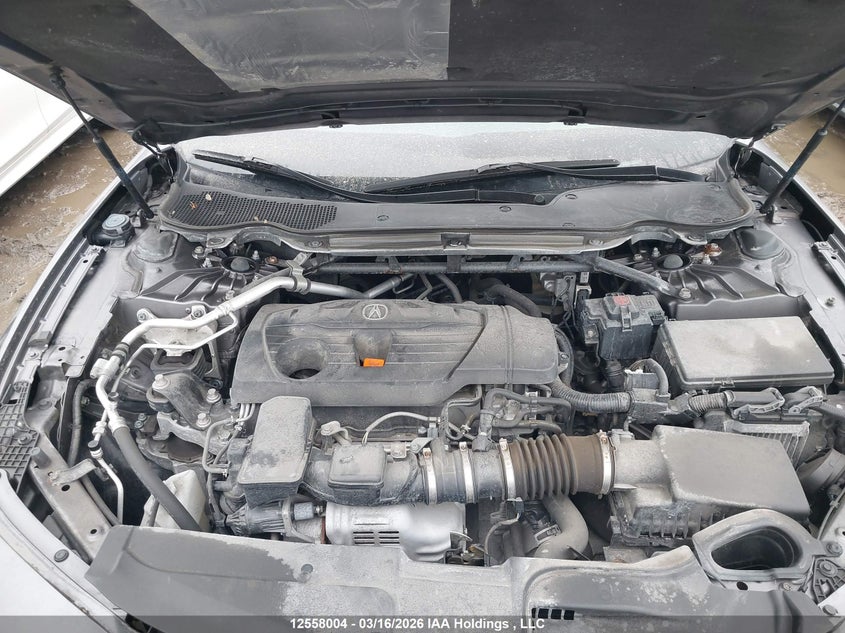 2021 Acura Tlx Tech VIN: 19UUB6F44MA801105 Lot: 12558004X