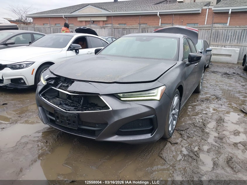 Vin: 19uub6f44ma801105, lot: 3025081, acura tlx tech 20212