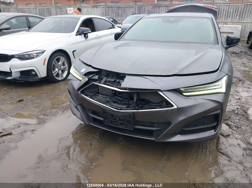 2021 Acura Tlx Tech VIN: 19UUB6F44MA801105 Lot: 12558004X