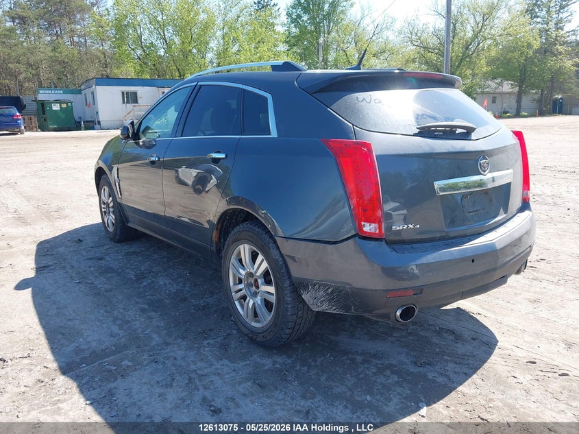 Vin: 3gyfndey4as607136, lot: 3025101, cadillac srx luxury collection 20103
