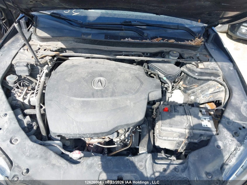 2017 Acura Tlx VIN: 19UUB3F53HA801092 Lot: 12626064