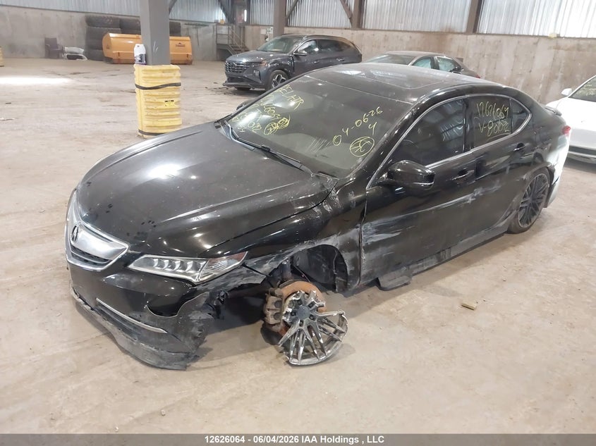 2017 Acura Tlx VIN: 19UUB3F53HA801092 Lot: 12626064