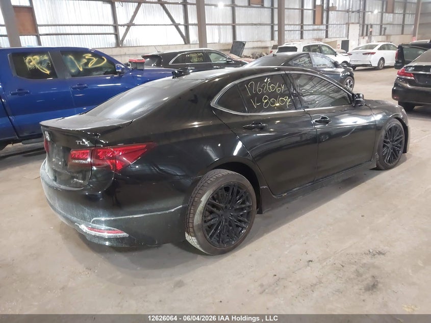 2017 Acura Tlx VIN: 19UUB3F53HA801092 Lot: 12626064