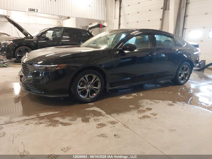 2024 Honda Accord Ex VIN: 1HGCY1F36RA800713 Lot: 12626662