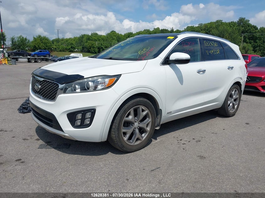 2016 Kia Sorento, Удар сзади, IAAI, VIN 5XYPKDA11GG093302 — фото 2