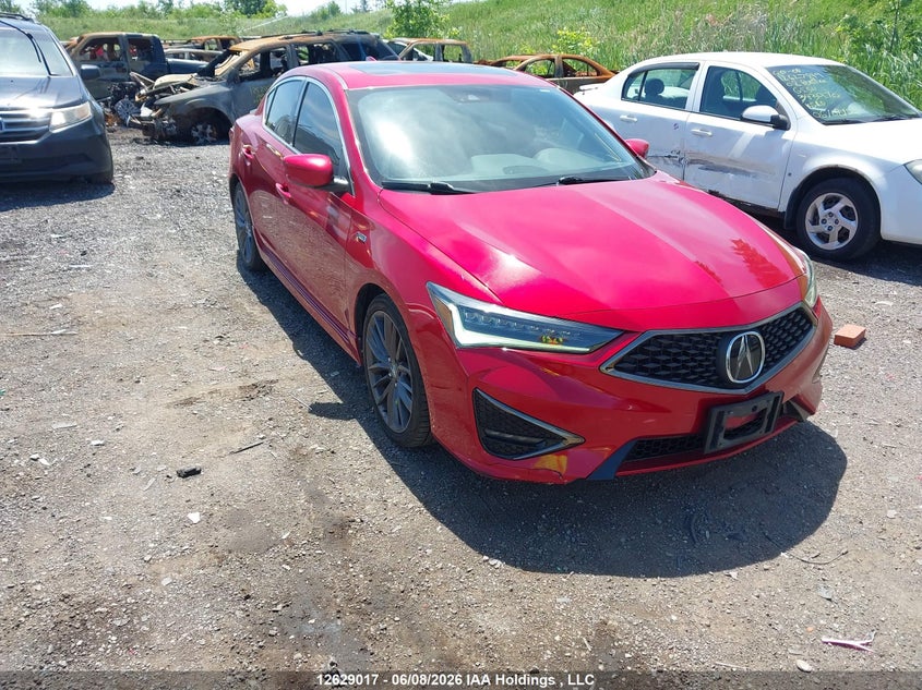 2019 Acura Ilx Premium A-Spec/Tech A-Spec VIN: 19UDE2F82KA800521 Lot: 12629017