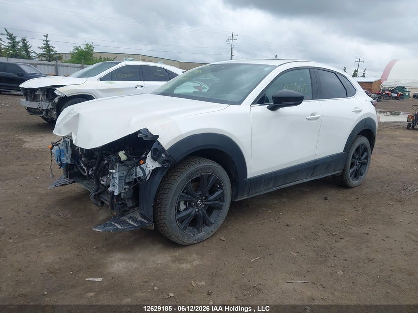 Vin: 3mvdmbdyxmm254009, lot: 3029202, mazda cx-30 gt w/turbo 20212