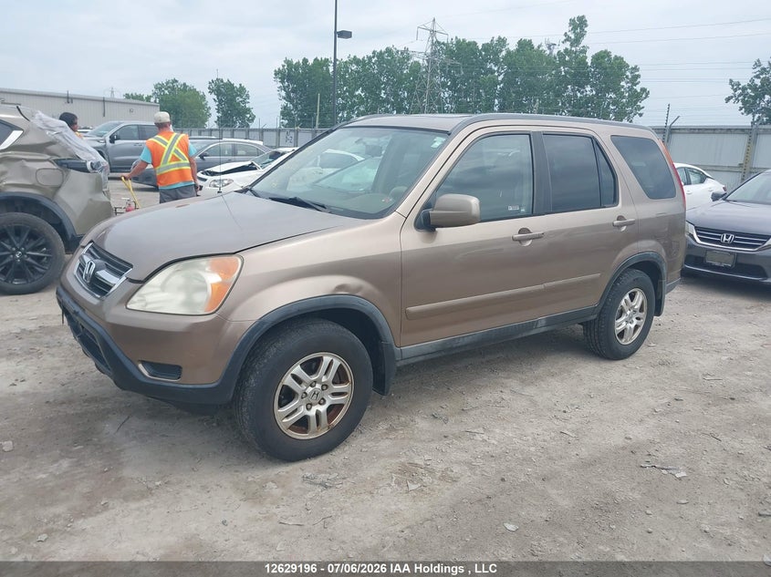 2004 Honda CR-V, Удар сзади, IAAI, VIN JHLRD78944C806535 — фото 2