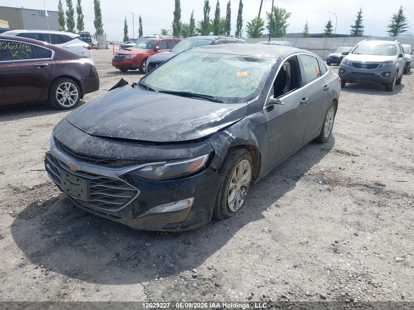 2024 Chevrolet Malibu, Біо/хімія, IAAI, VIN 1G1ZD5ST7RF214647 — фото 2