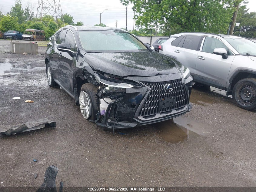 2024 LEXUS NX 350H 350H
