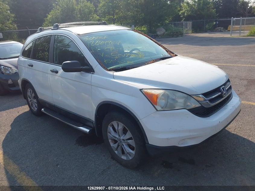 Vin: 5j6re3h30bl801998, lot: 3029971, honda cr-v lx 2011 img_1