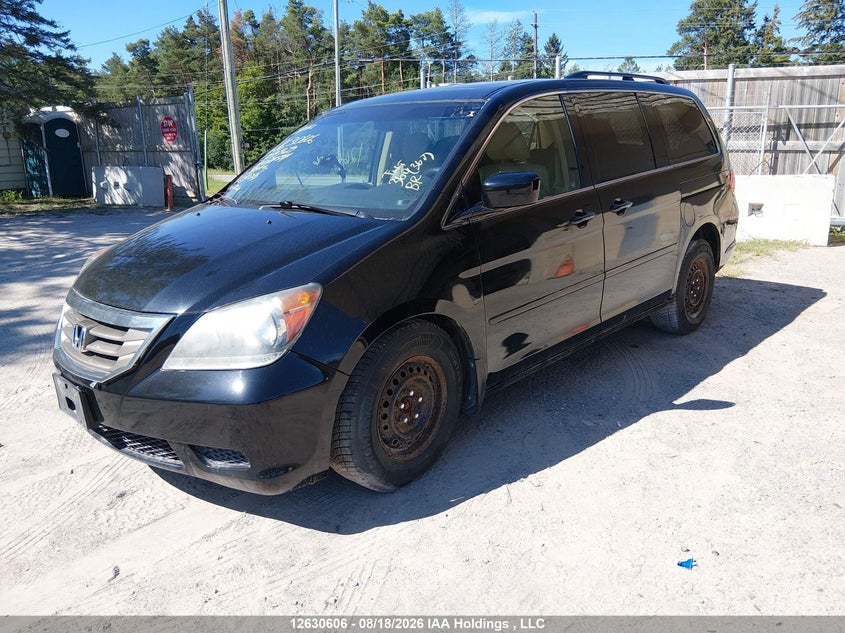 2008 Honda Odyssey, Удар сзади, IAAI, VIN 5FNRL38788B509929 — фото 2