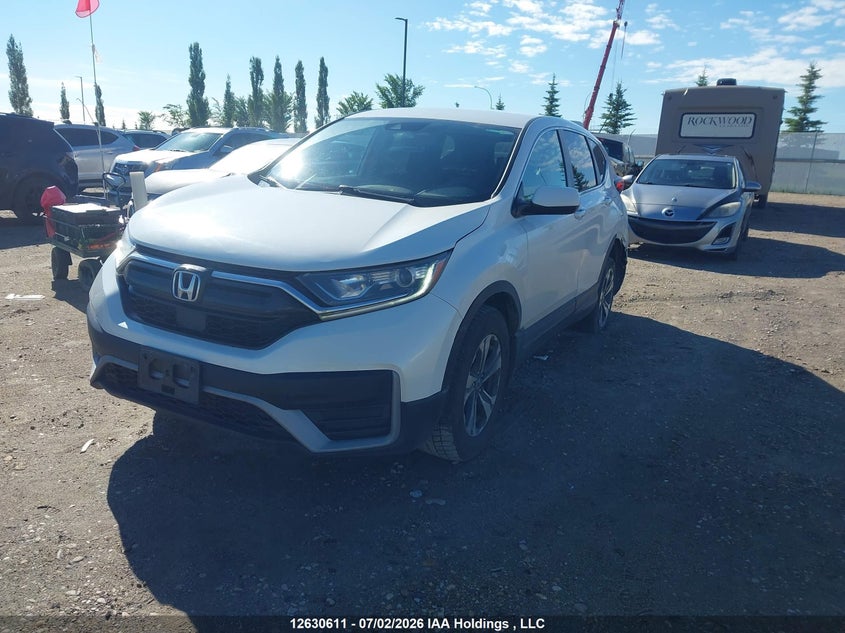 2020 Honda Cr-V, Rear, IAAI, VIN 2HKRW2H29LH204570 — photo 2
