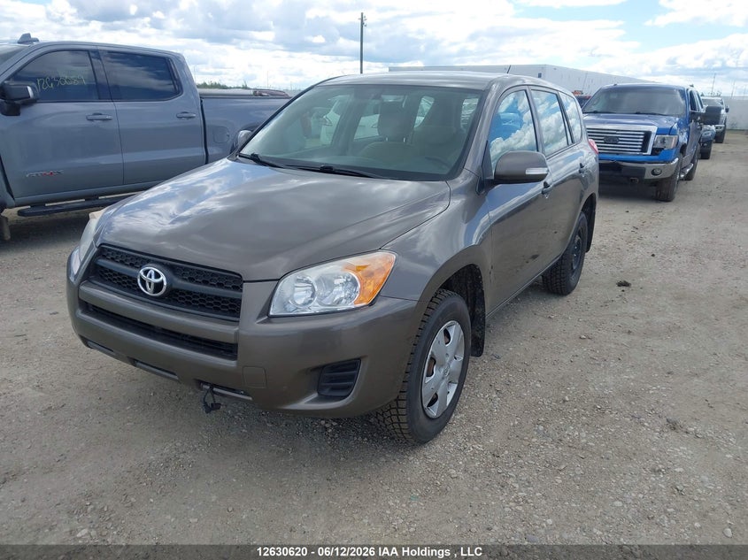 2010 Toyota RAV 4, Rear, IAAI, VIN 2T3ZF4DV3AW031047 — photo 2