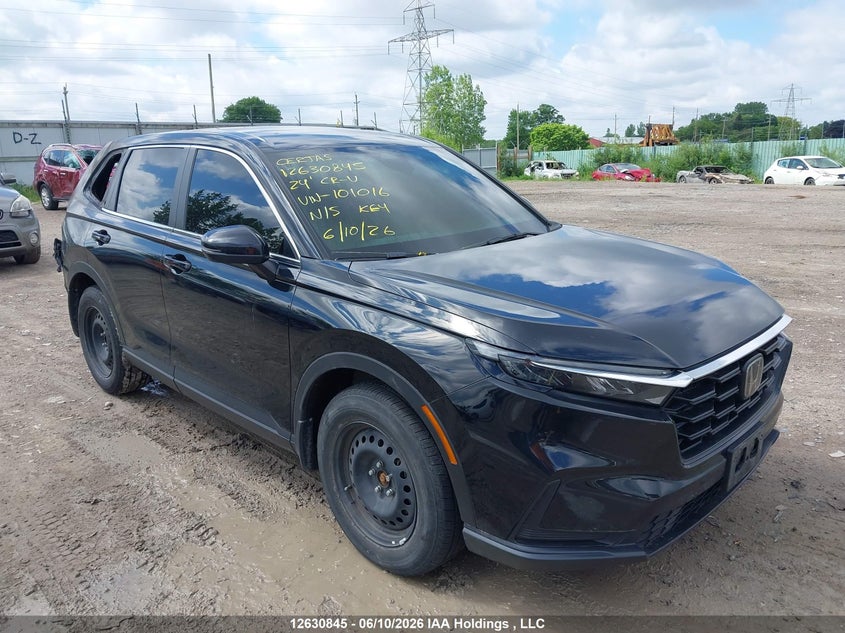 Vin: 2hkrs4h25rh101016, lot: 3030997, honda cr-v lx 2024 img_1