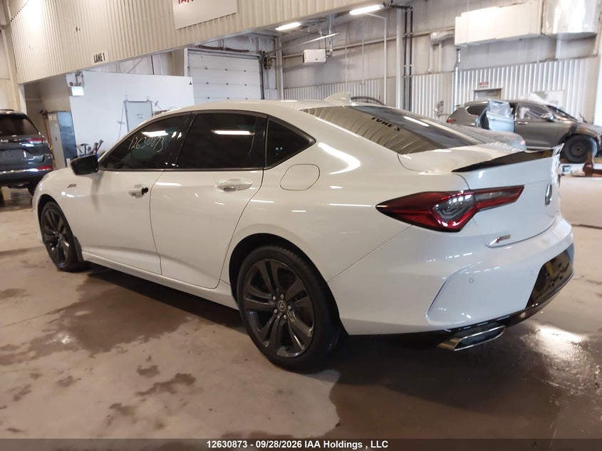 Vin: 19uub6f59na800770, lot: 3031029, acura tlx a-spec 20223