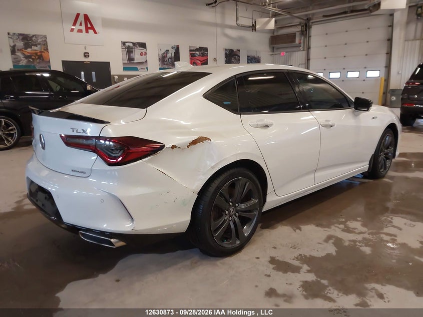 Vin: 19uub6f59na800770, lot: 3031029, acura tlx a-spec 20224