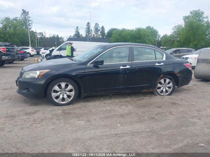 2008 Honda Accord Ex-L V6 VIN: 1HGCP36848A802288 Lot: 12631122