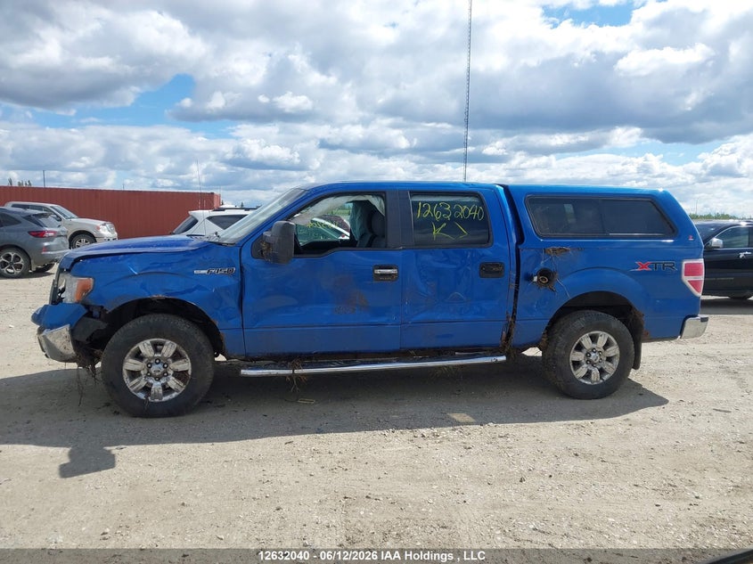 2012 FORD F150 SUPERCREW PICKUP 5.0L V-8 DOHC, VVT, 360HP