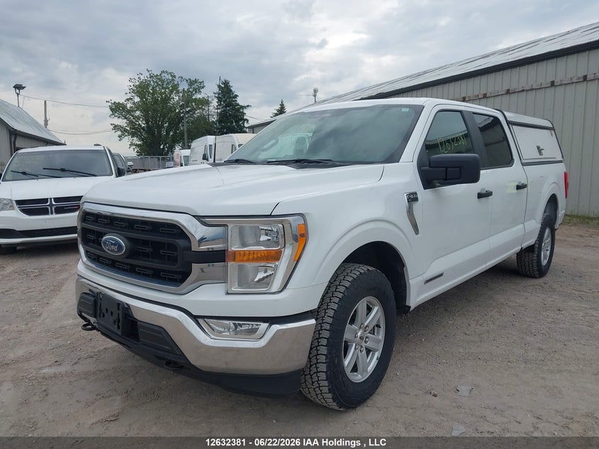 2022 Ford F150 Supercrew, Rear, IAAI, VIN 1FTFW1ED6NFB46966 — photo 2