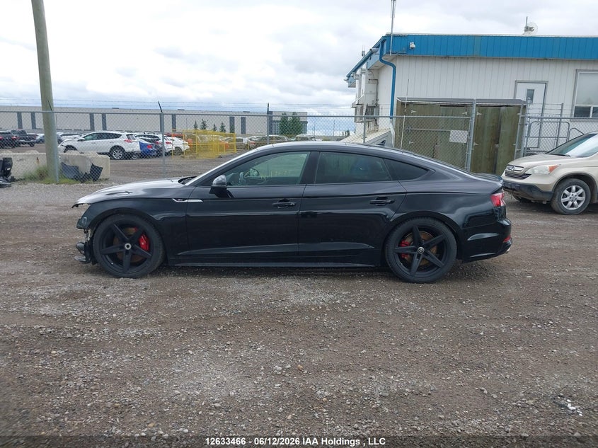 2019 Audi S5 3.0T Technik VIN: WAUC4CF55KA028828 Lot: 12633466