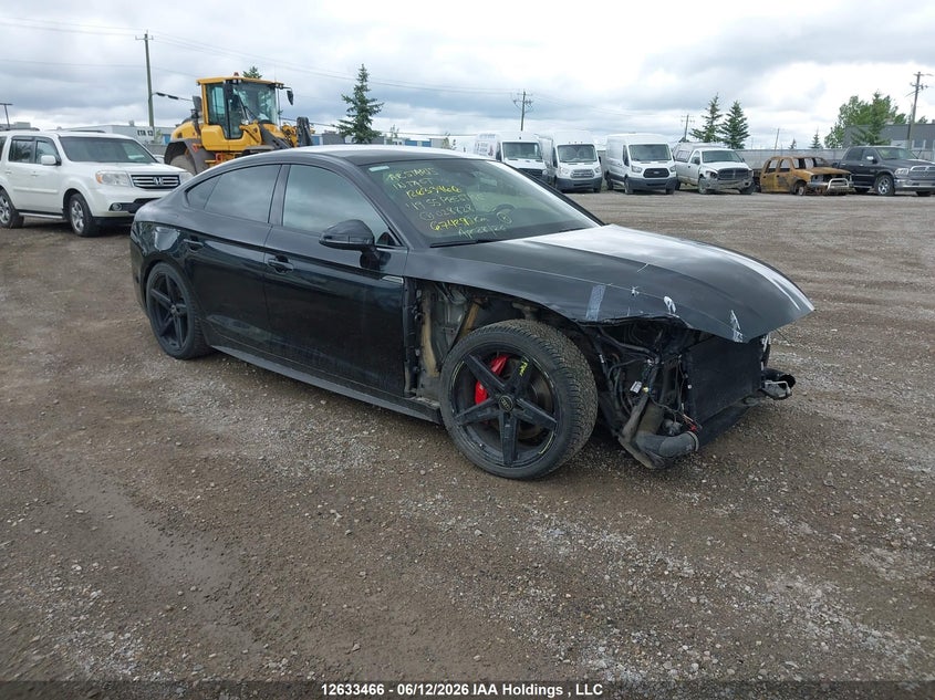 2019 Audi S5 3.0T Technik VIN: WAUC4CF55KA028828 Lot: 12633466